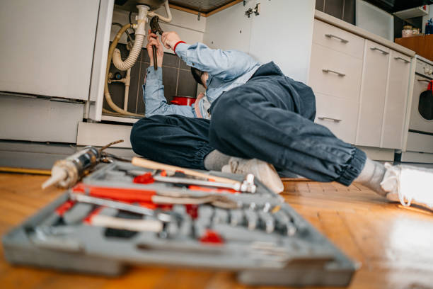 Best Sprinkler Systems  in New Glarus, WI