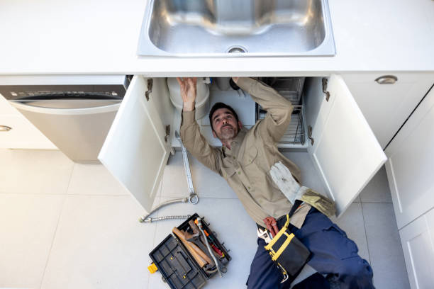 Best Affordable Plumbing Services  in New Glarus, WI